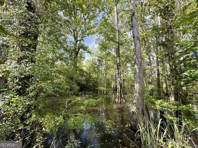 0 Dead River Rd, Glenwood, GA 30428