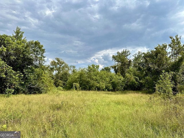 0 Dead River Rd, Glenwood, GA 30428