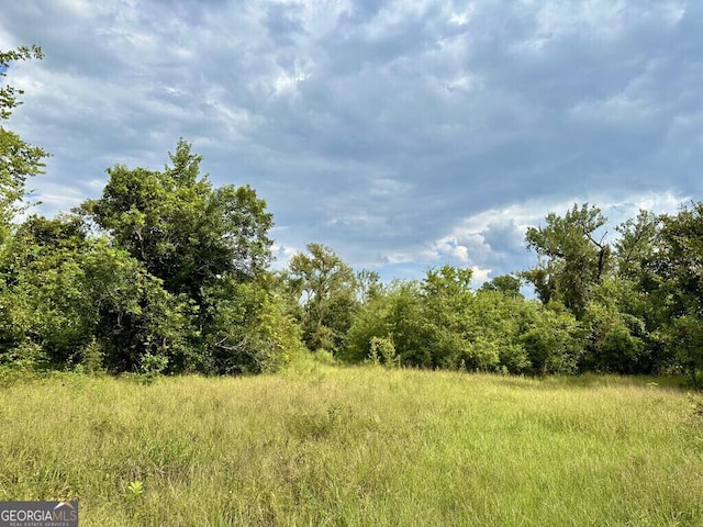 0 Dead River Rd, Glenwood, GA 30428