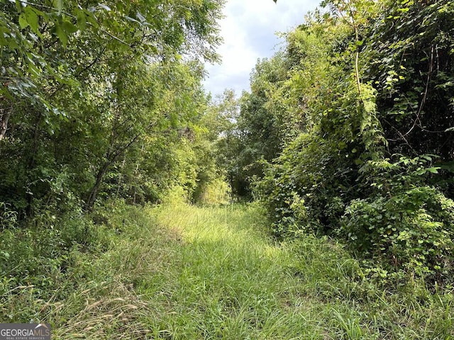 0 Dead River Rd, Glenwood, GA 30428