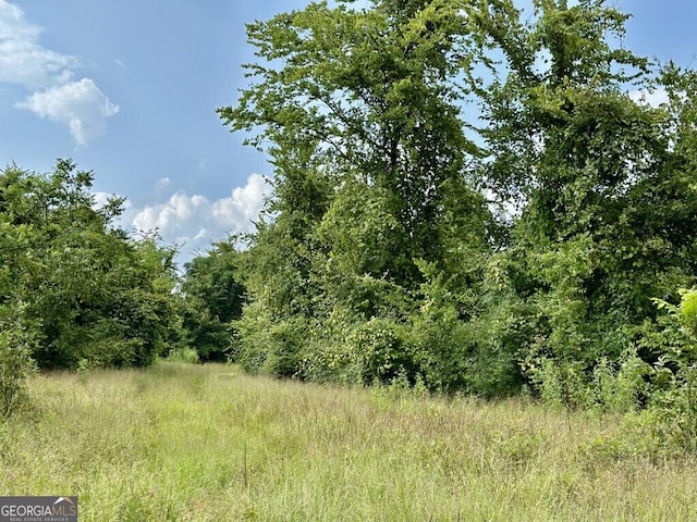 0 Dead River Rd, Glenwood, GA 30428