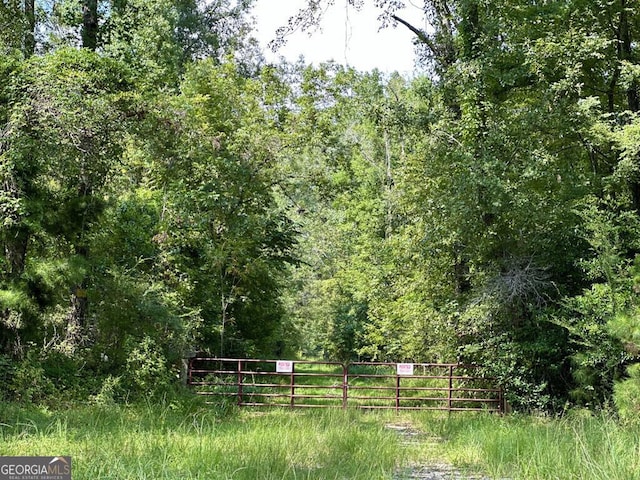 0 Dead River Rd, Glenwood, GA 30428