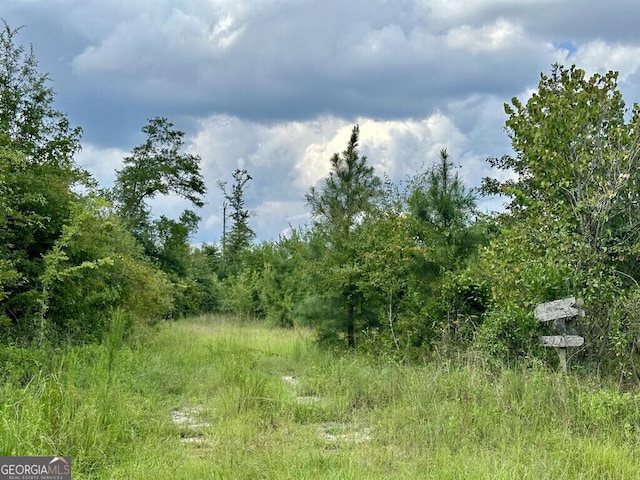 0 Dead River Rd, Glenwood, GA 30428
