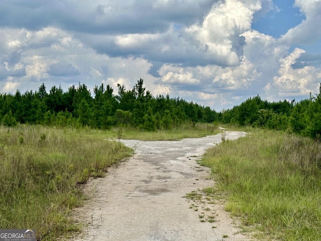 0 Dead River Rd, Glenwood, GA 30428