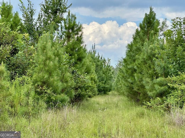 0 Dead River Rd, Glenwood, GA 30428