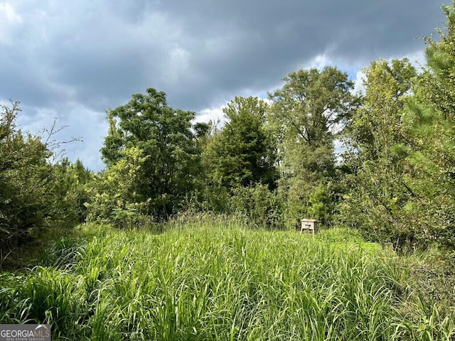 0 Dead River Rd, Glenwood, GA 30428