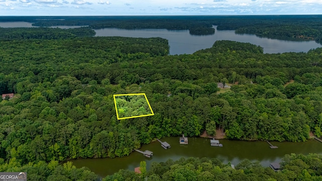 226 Linda Ln, Lagrange, GA 30240 - view of property location with a large body of water and property boundaries highlighted