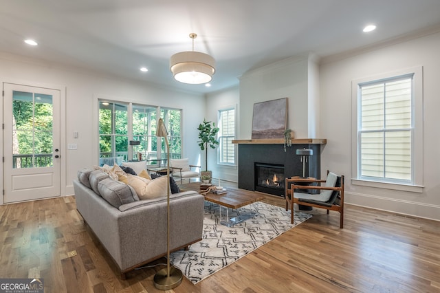 2164 James Aly, Atlanta, GA 30345 - living area with crown molding, healthy amount of natural light, wood finished floors, a glass covered fireplace, and recessed lighting