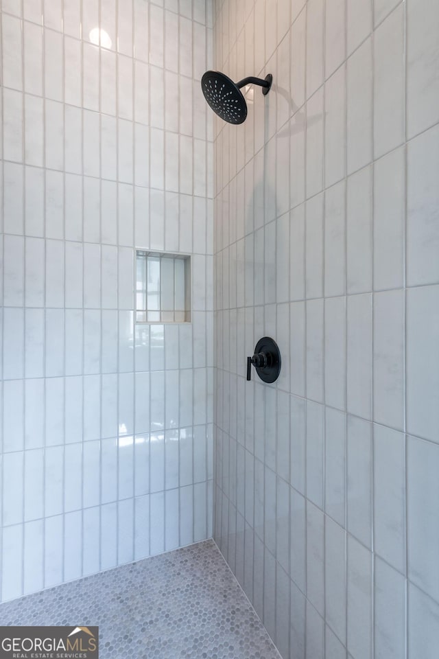 2164 James Aly, Atlanta, GA 30345 - bathroom with tiled shower