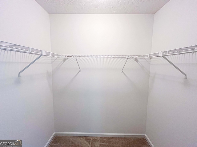 3150 Stratford Green Pl, Avondale Estates, GA 30002 - spacious closet featuring carpet floors