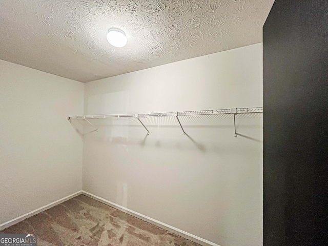 3150 Stratford Green Pl, Avondale Estates, GA 30002 - spacious closet with carpet