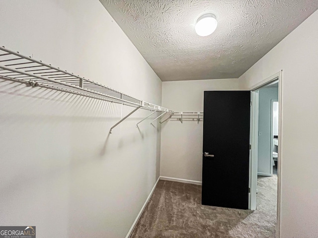 3150 Stratford Green Pl, Avondale Estates, GA 30002 - spacious closet featuring carpet