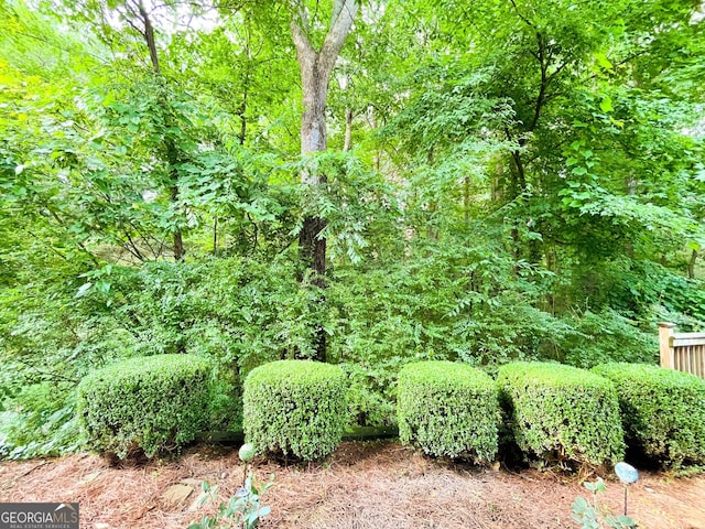3150 Stratford Green Pl, Avondale Estates, GA 30002 - view of yard