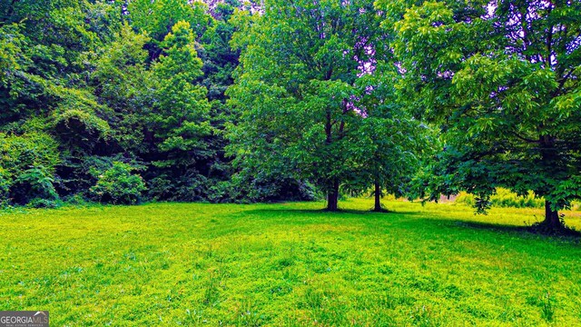 3150 Stratford Green Pl, Avondale Estates, GA 30002 - view of grassy yard