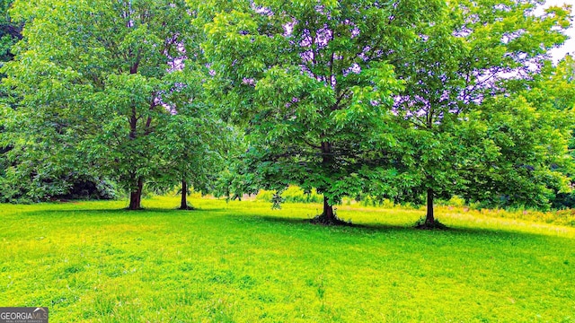 3150 Stratford Green Pl, Avondale Estates, GA 30002 - view of green lawn