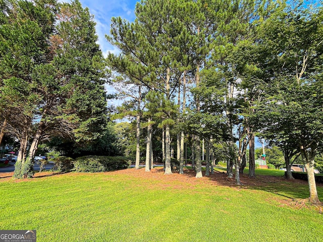 3150 Stratford Green Pl, Avondale Estates, GA 30002 - view of green lawn