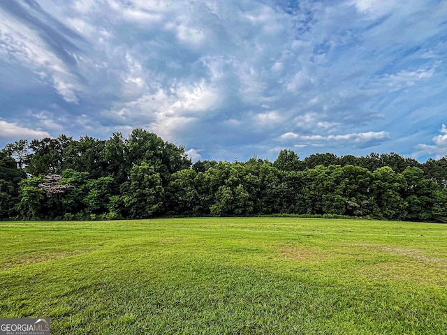 3150 Stratford Green Pl, Avondale Estates, GA 30002 - view of grassy yard with a view of trees and a view of countryside