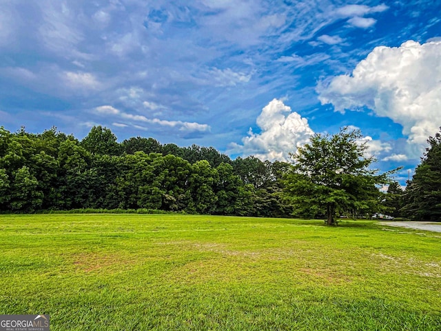 3150 Stratford Green Pl, Avondale Estates, GA 30002 - view of grassy yard featuring a forest view