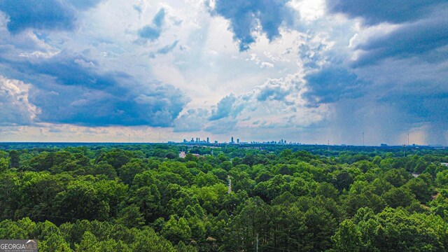 3150 Stratford Green Pl, Avondale Estates, GA 30002 - aerial view of a forest