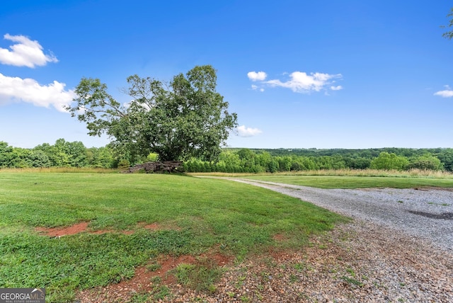 429 Hubert Harris Rd, Cornelia, GA 30531 - view of road