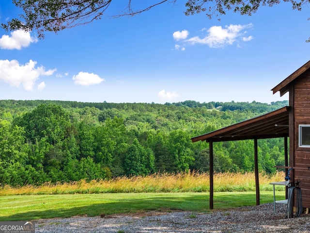 429 Hubert Harris Rd, Cornelia, GA 30531 - view of green lawn featuring a wooded view