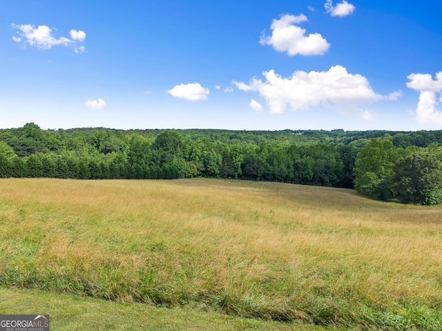 429 Hubert Harris Rd, Cornelia, GA 30531 - view of tree filled area with a view of rural / pastoral area