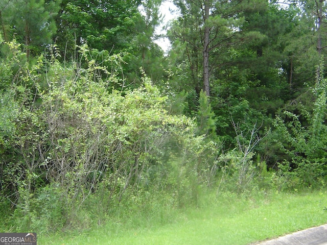 0 Cambridge Ct, Lanett, AL 36863