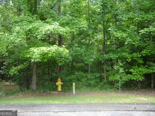 0 Cambridge Ct, Lanett, AL 36863