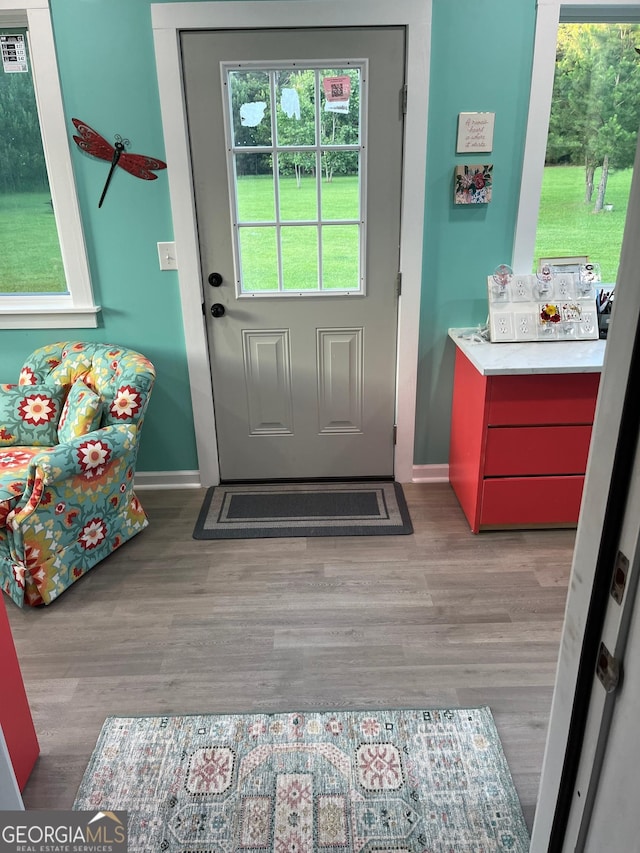 7191 Moontown Rd, Appling, GA 30802 - entryway with healthy amount of natural light and light wood-style flooring