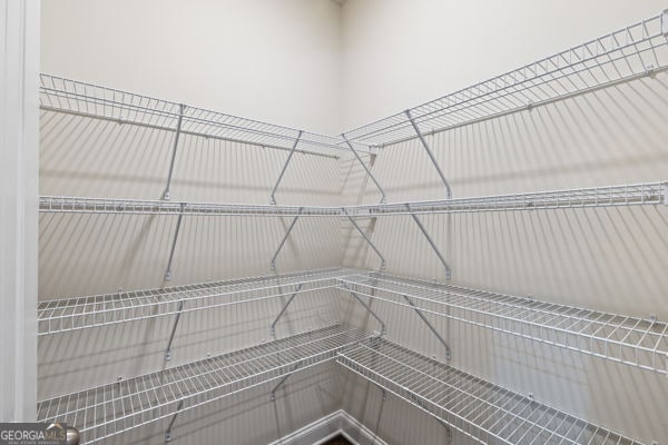 1494 Weeping Tree Cir, Hoschton, GA 30548 - view of pantry