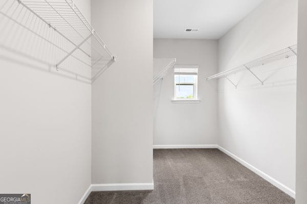 1494 Weeping Tree Cir, Hoschton, GA 30548 - walk in closet with carpet