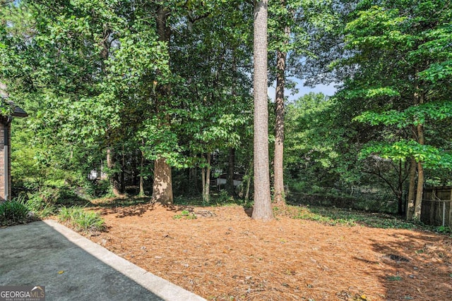 1260 Fork Creek Trl, Decatur, GA 30033 - view of yard
