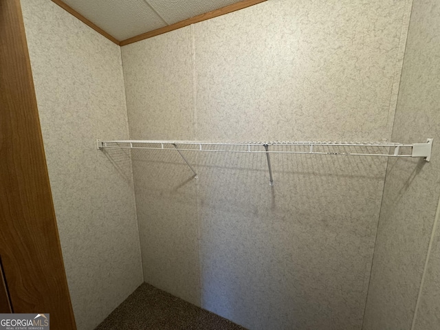 919 Louis Rd, Rentz, GA 31075 - view of spacious closet