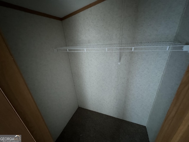 919 Louis Rd, Rentz, GA 31075 - view of walk in closet