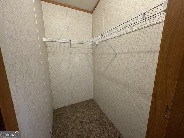 919 Louis Rd, Rentz, GA 31075 - view of walk in closet