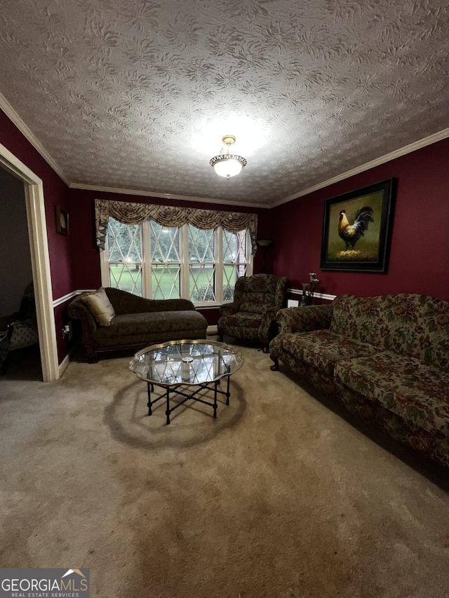 186 Kingston Rd, Colbert, GA 30628 - carpeted living room featuring ornamental molding, plenty of natural light, and a textured ceiling
