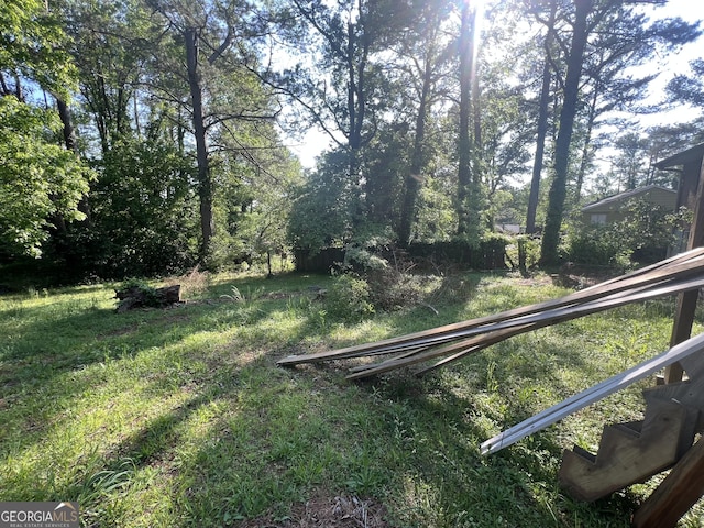 7128 Lady Heidi Ct, Jonesboro, GA 30236 - view of yard
