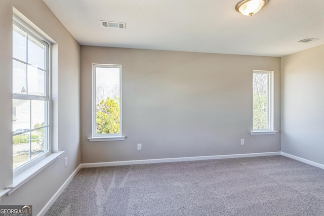 105 Ivy Glen Dr, Perry, GA 31069 - carpeted spare room with healthy amount of natural light