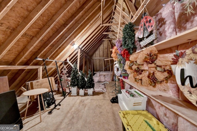 1640 Mount Mckinley Dr, Grayson, GA 30017 - view of unfinished attic