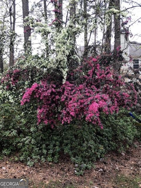 1640 Mount Mckinley Dr, Grayson, GA 30017 - view of nature