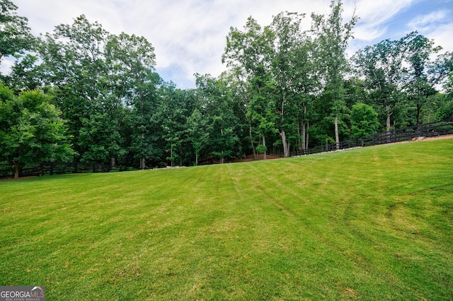 15755 Burdette Ct, Milton, GA 30004 - view of yard