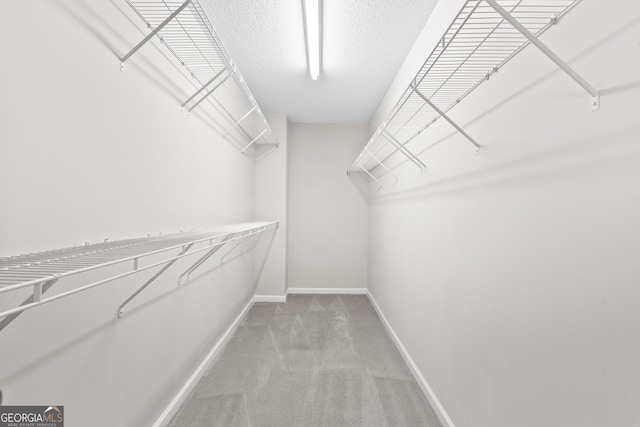 8750 Redford Ln, Suwanee, GA 30024 - walk in closet featuring light colored carpet