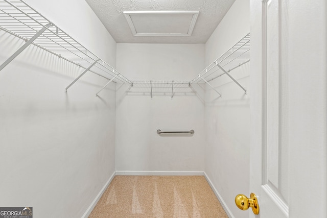 5832 Sycamore Ridge Dr, Sugar Hill, GA 30518 - spacious closet with light carpet and attic access
