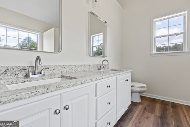 501 Llewellyn Ct, Jenkinsburg, GA 30234 - bathroom with healthy amount of natural light, double vanity, and wood finished floors