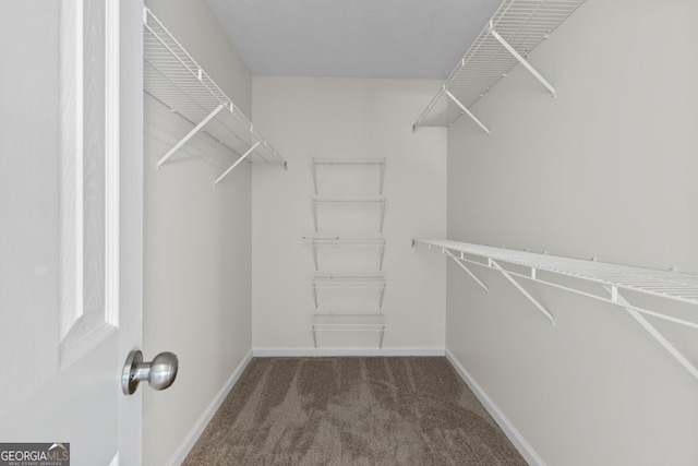 501 Llewellyn Ct, Jenkinsburg, GA 30234 - spacious closet featuring carpet flooring