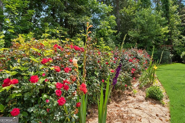 560 Arcaro Dr, Milton, GA 30004 - view of yard