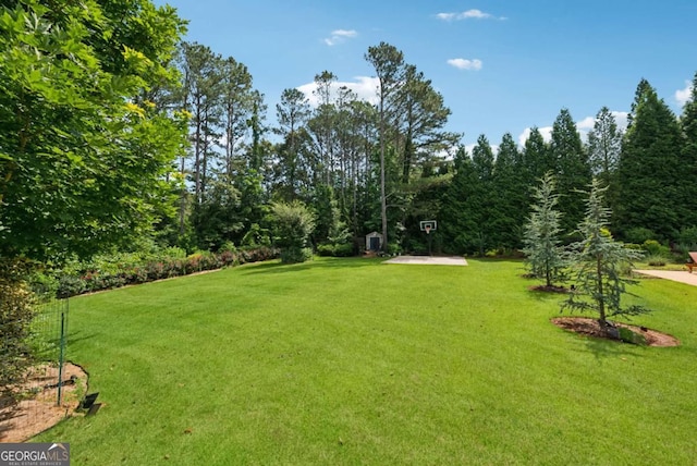 560 Arcaro Dr, Milton, GA 30004 - view of green lawn
