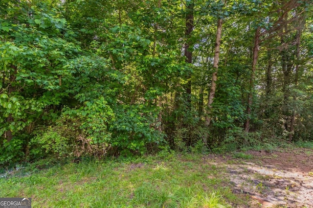 1404 Lancaster Ct, Mcdonough, GA 30252 - view of wooded area