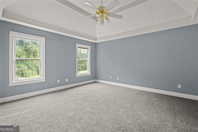 2333 Old Newnan Rd, Carrollton, GA 30116 - empty room with a raised ceiling, carpet, and ceiling fan