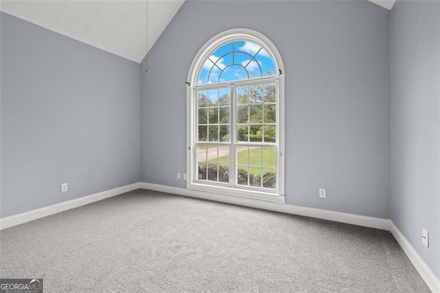 2333 Old Newnan Rd, Carrollton, GA 30116 - spare room with vaulted ceiling, carpet floors, and plenty of natural light